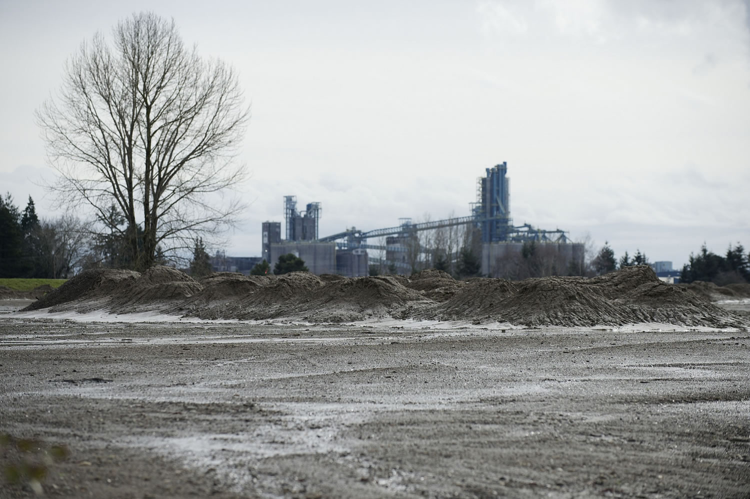 Vancouver-based Sunlight Supply is proposing a manfacturing facility and office on this site in the Port of Vancouver's Centennial Industrial Park.