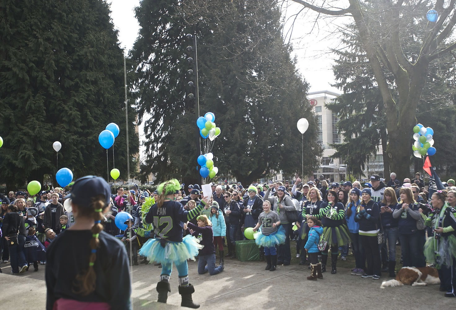 Fans gather to show their support of the Seattle Seahawks at Esther Short Park on Saturday February 1, 2014.