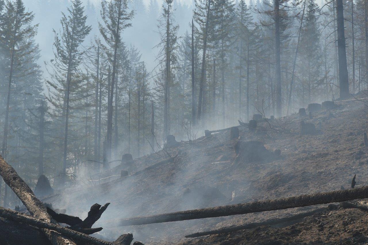 Courtesy of the state Department of Natural Resources
A smoldering landscape remains in the wake of the Gold Rush Fire, which burned about 60 acres in western Skamania County, several miles from Dougan Falls. The fire was 100 percent contained by Sunday.
