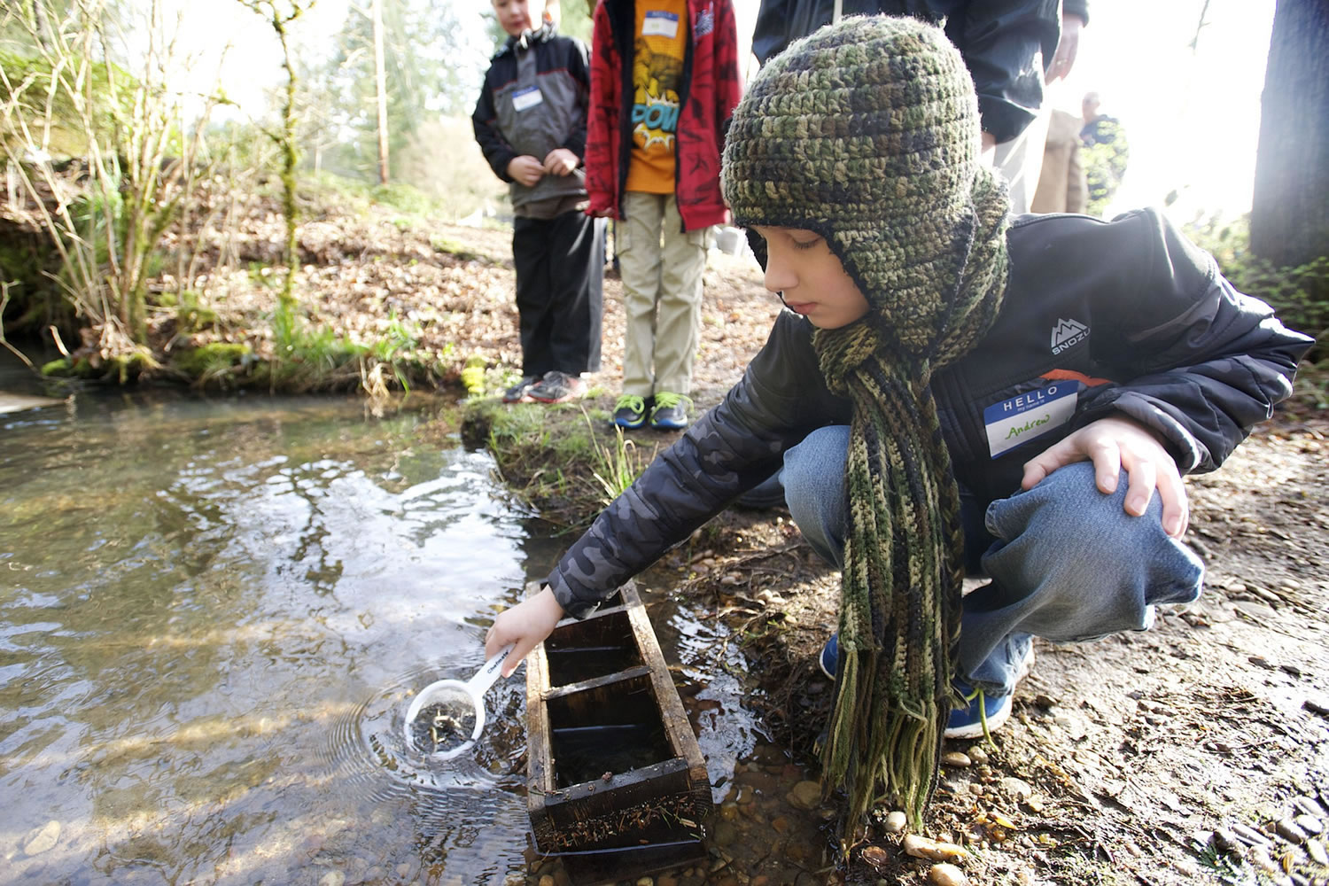 Andrew Swatosh, 10, a fourth-grader at Hockinson Heights Elementary, releases a scoop of coho salmon into Gravel Point Creek on Thursday east of Battle Ground as part of the Salmon in the Classroom program organized by the Columbia Springs Environmental Education Center.
