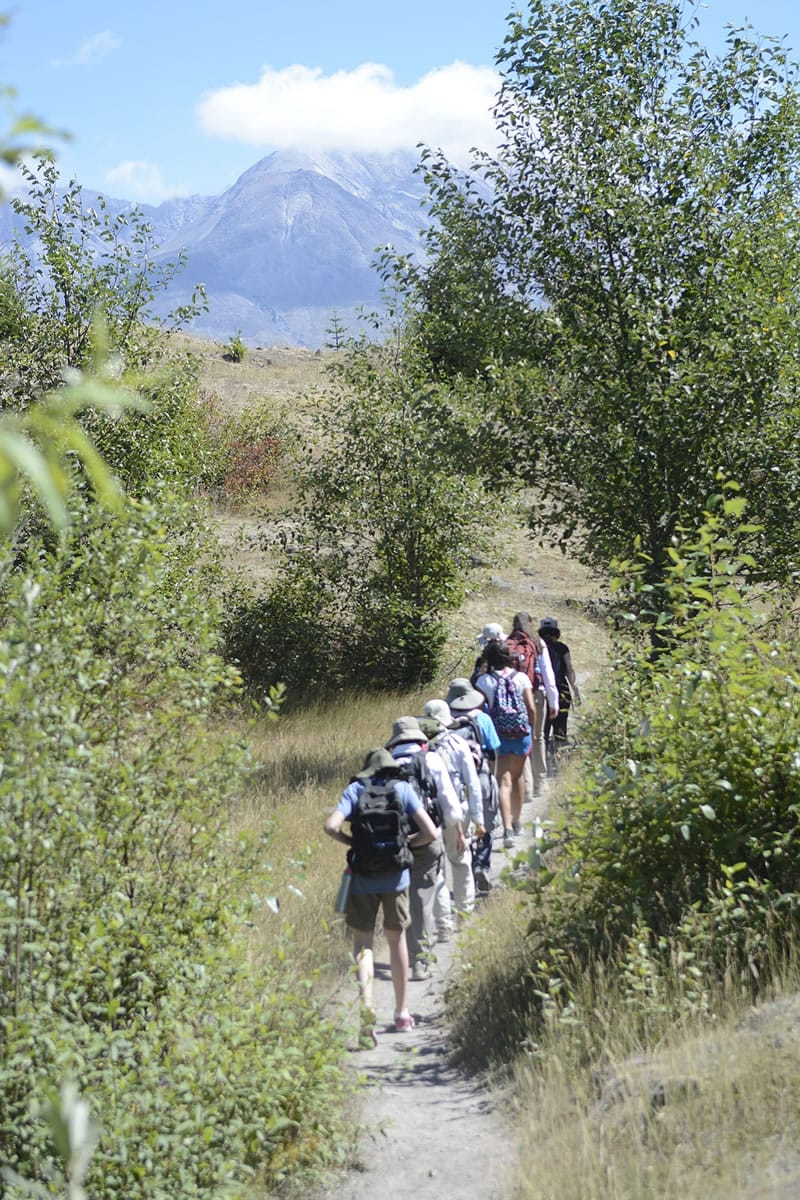 Middle school girls and their female scientist mentors hike along the Hummocks Trail toward Mount St. Helens. A new program to encourage middle school girls to consider a science career takes them to Mount St.