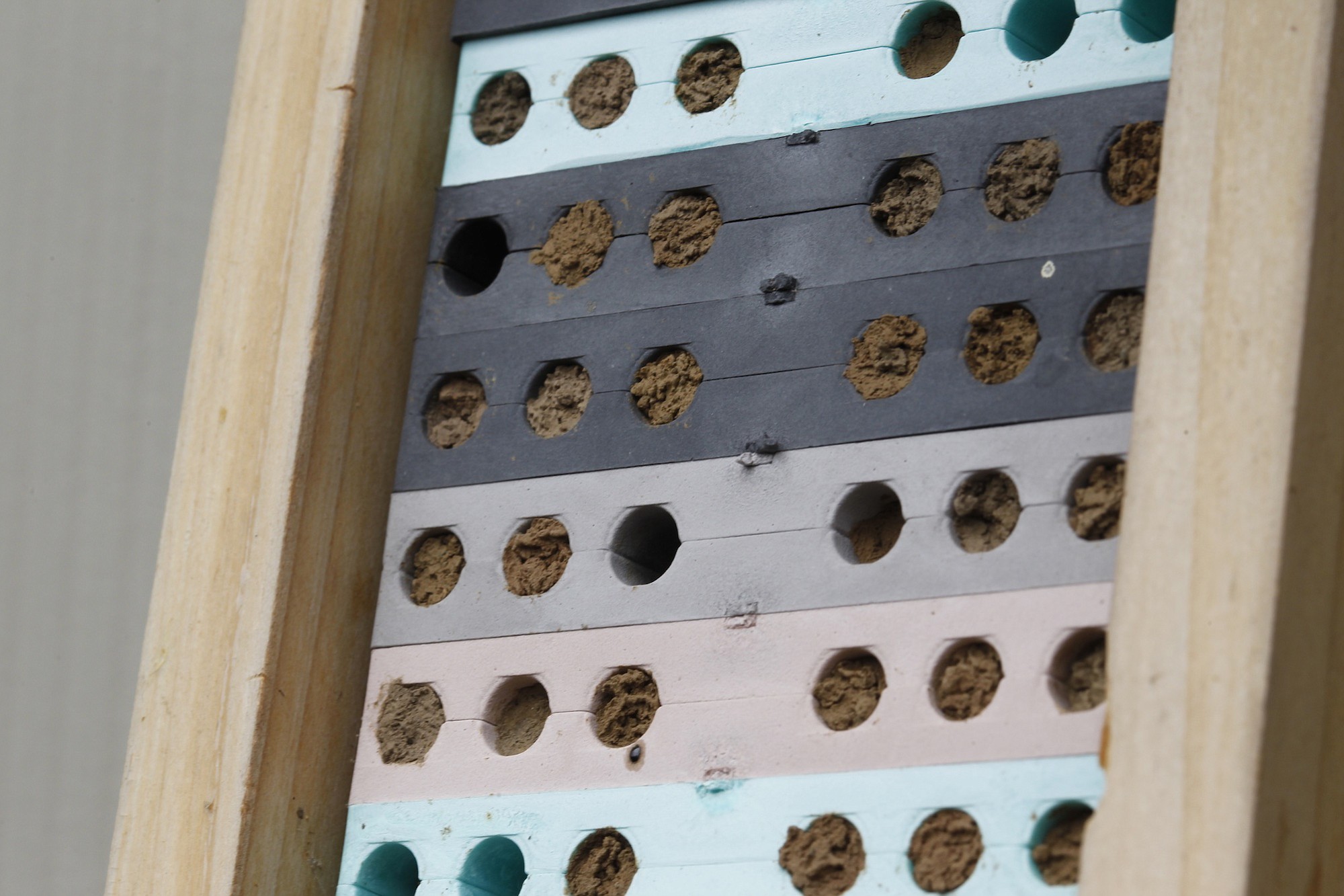 A mason bee nesting block hangs in the Vancouver garden of Susan Sanders on Sunday afternoon during the Earth-Friendly Garden Tour.