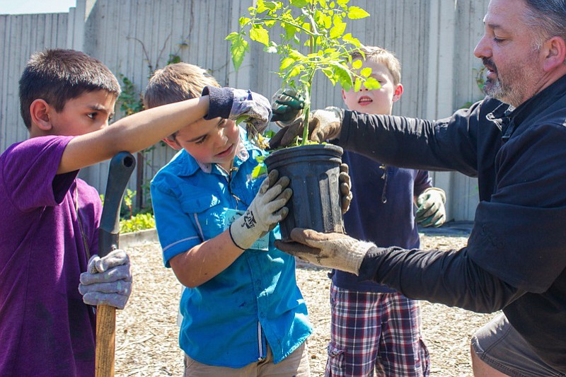Hazel Dell: WSU Master Gardener volunteer Charlie Heldreth helps James Betts, from left, Zachary Rotellini-Maze and Aydan Eaton  plant tomatoes in the school garden during the 27th annual Enrichment Fair at Hazel Dell Elementary School.