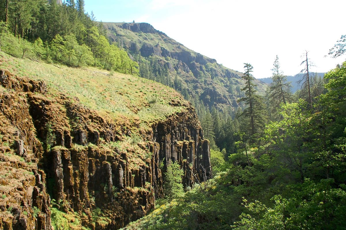 Columbia Land Trust
A conservation project led by the Vancouver-based Columbia Land Trust will protect more than 14 square miles u2014 about 9,000 acres u2014 along the Klickitat River. The project area covers a wild and remote part of the Klickitat.