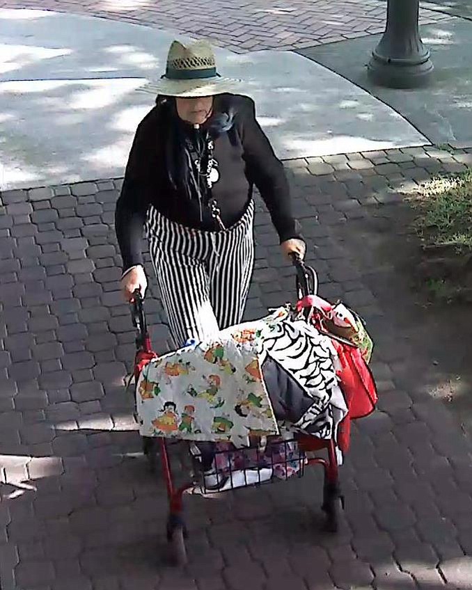 Vancouver police detective Lawrence Zapata said he believes that Sharon Allison, the 66-year-old victim of homicide, was last seen wearing these clothes.