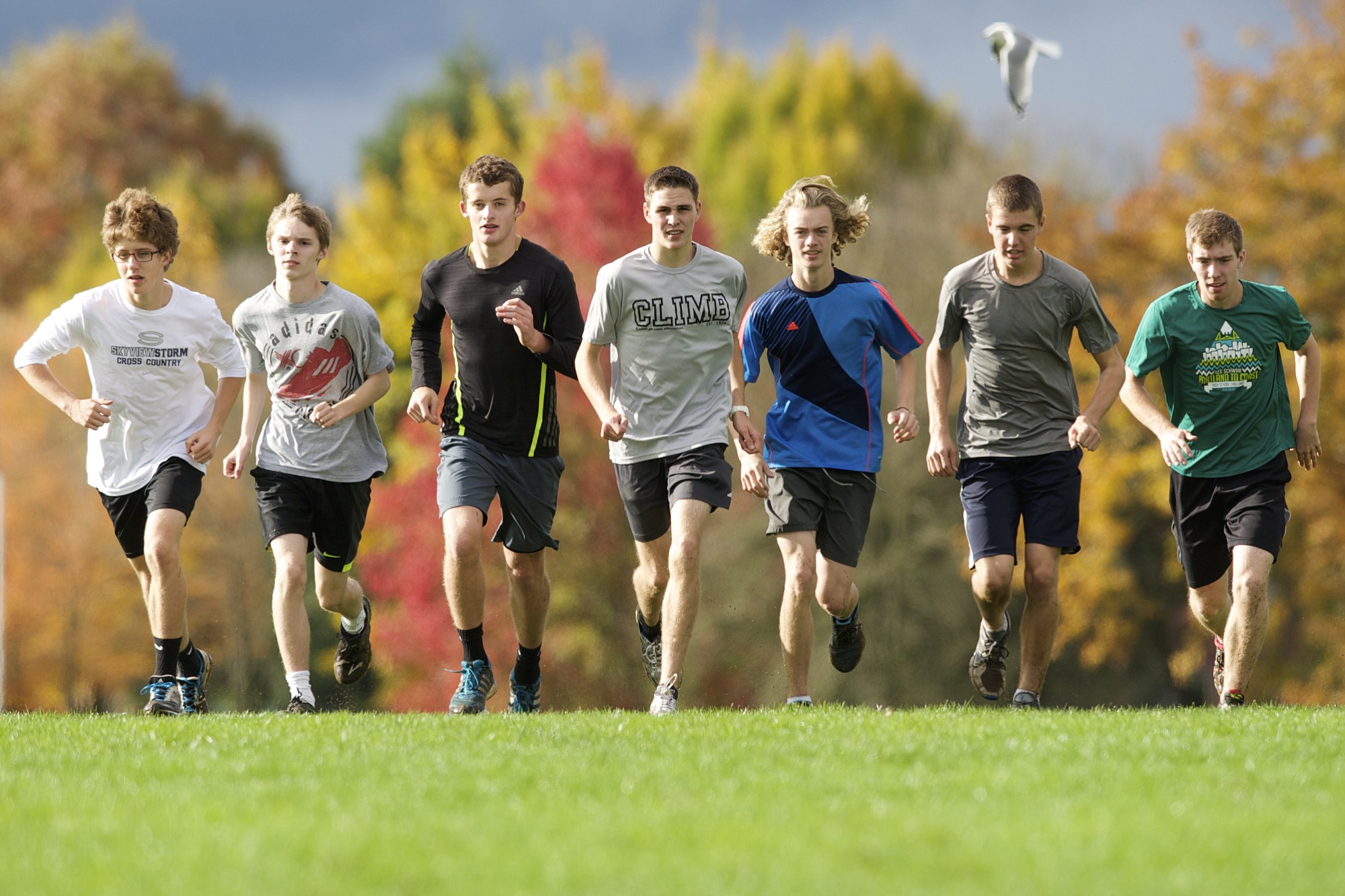 The Skyview boys cross country team has its sights on a top-3 finish at the 4A cross country championship in Pasco on Saturday.