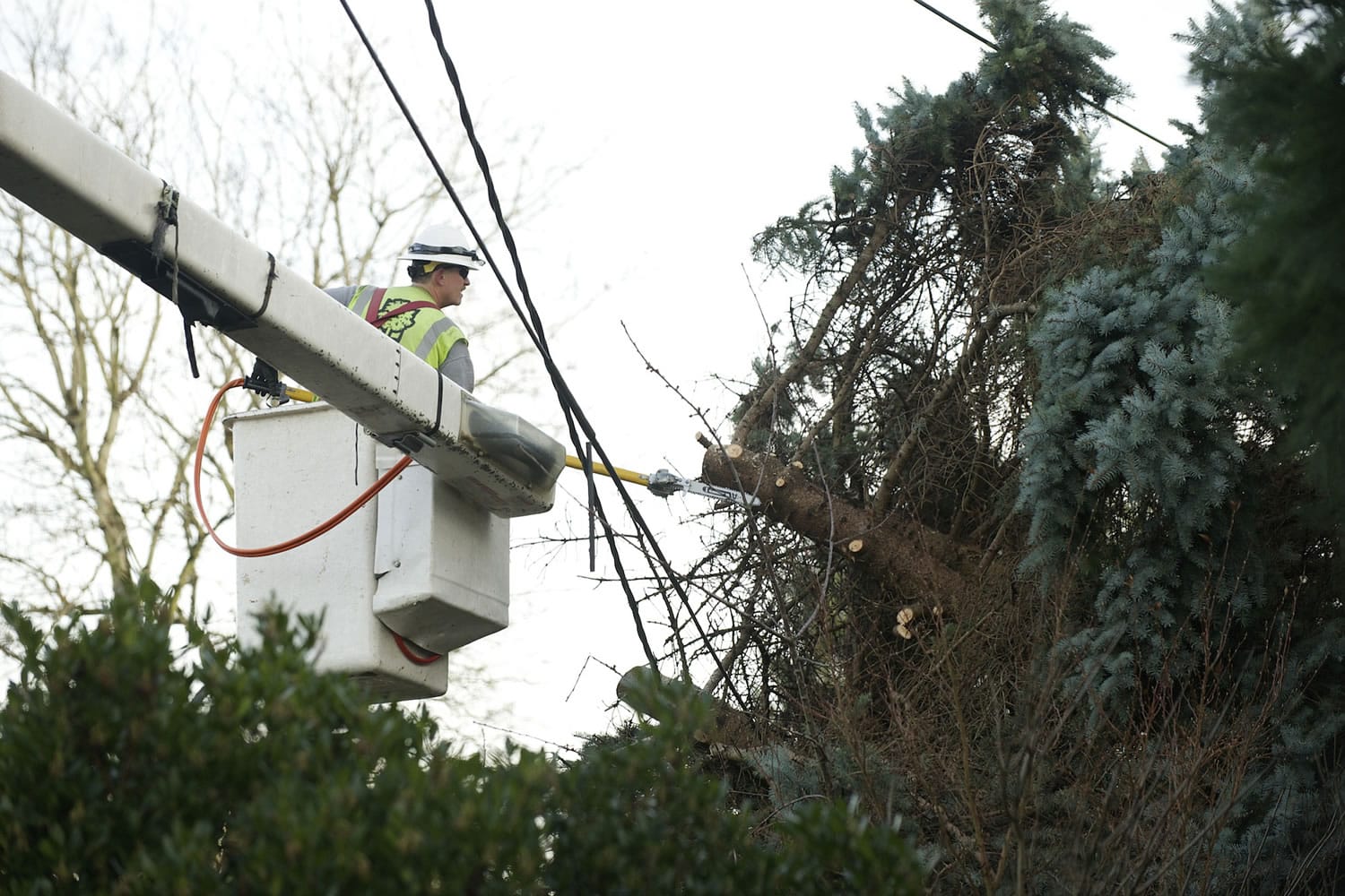 A crew from Wright Tree Service clears branches from power lines near the intersection of Santa Fe Drive and New Mexico Street in Vancouver as cleanup continued from Thursday's windstorm.