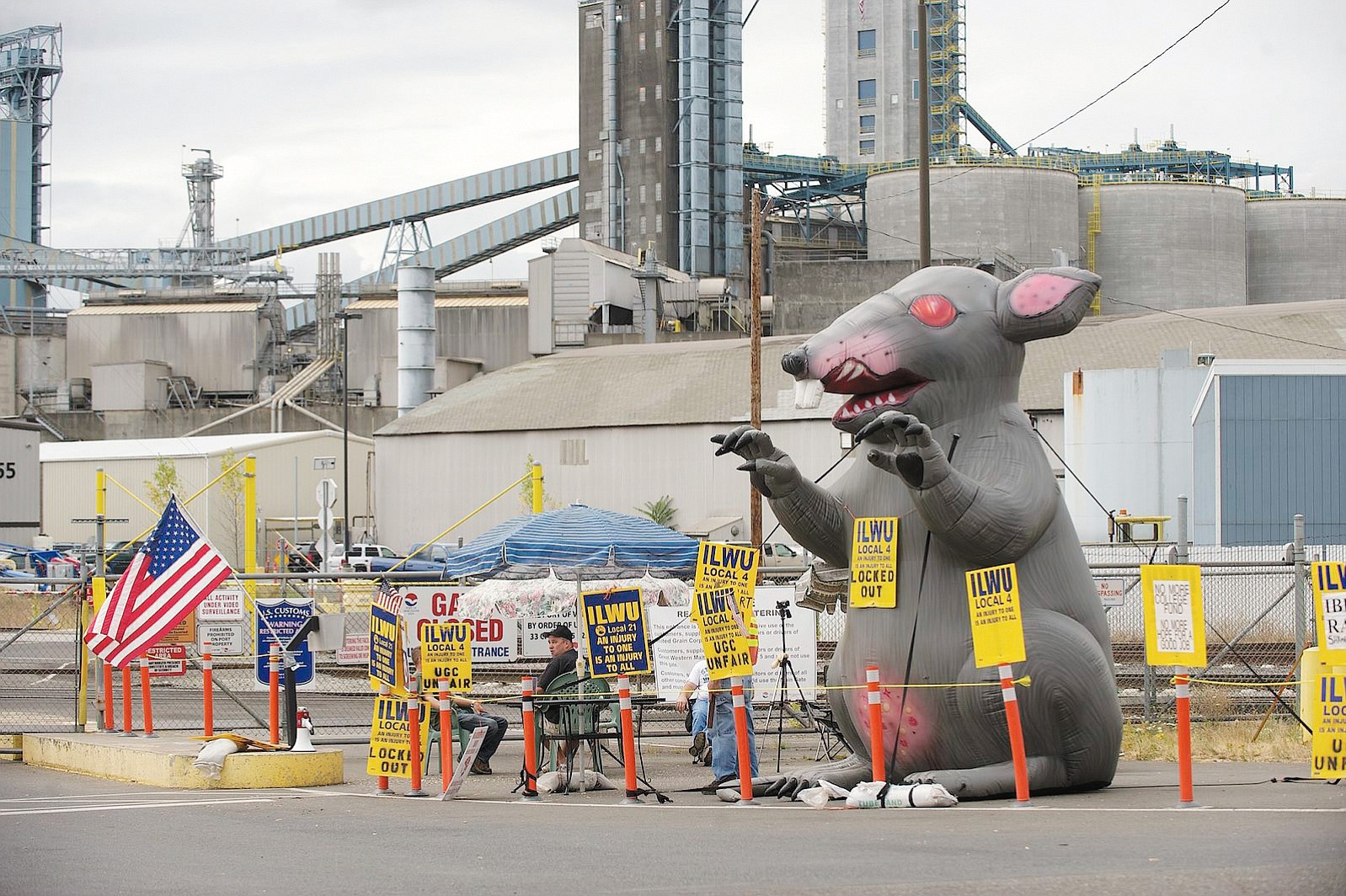 Local members of the International Longshore and Warehouse Union, locked out by United Grain Corp. at the Port of Vancouver, added a 12-foot-tall inflatable rat to their protest on Aug.