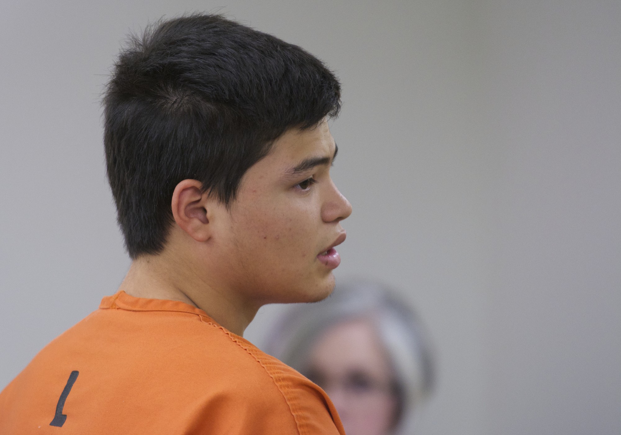Andrew Perez-Garcia, 18, of Vancouver appears in Clark County Superior Court today on suspicion of first-degree arson in connection with a July 5 fireworks fire in Felida.