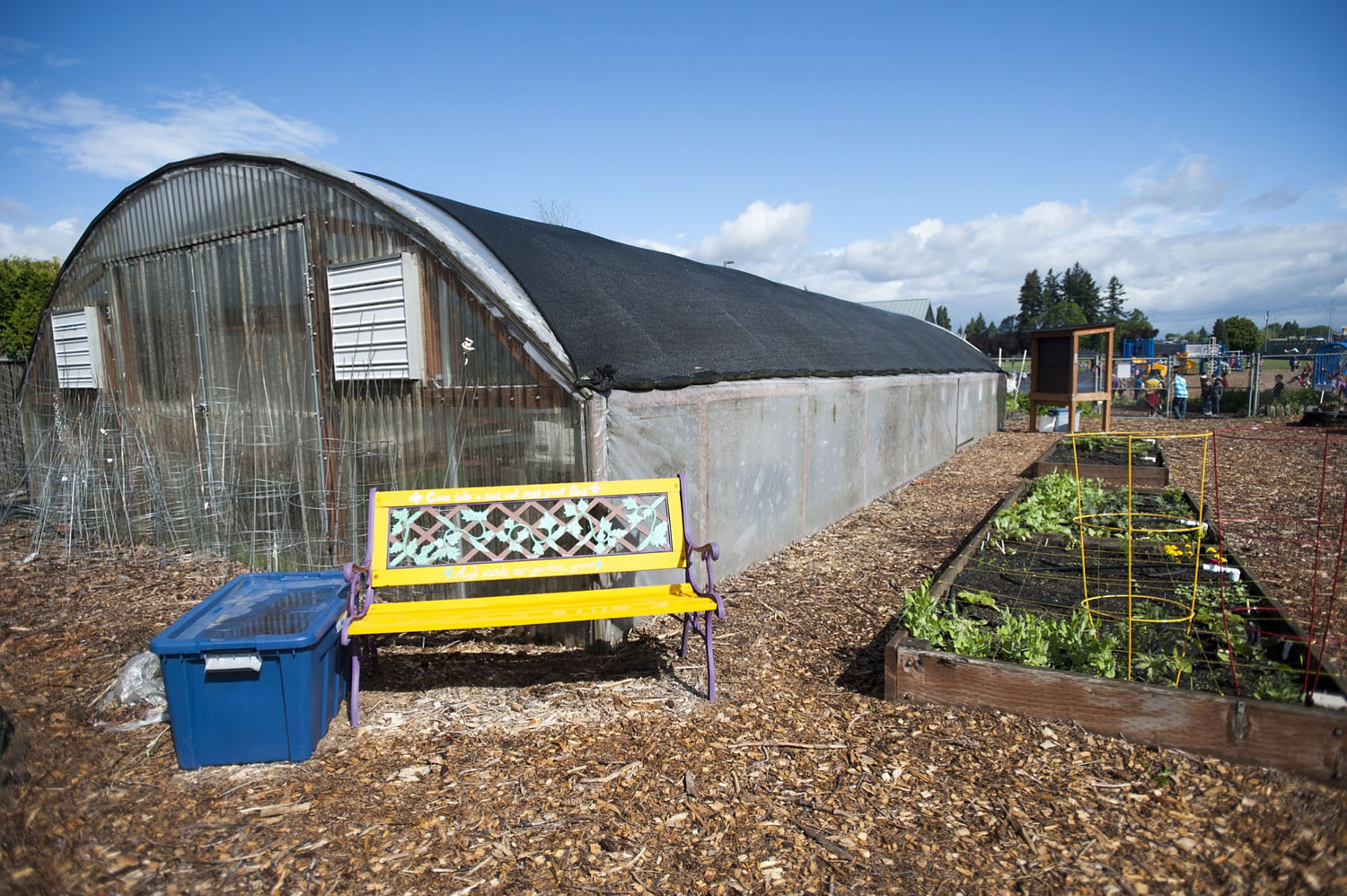 There are 25 raised beds at the Hazel Dell School and Community Garden. Clark College and Washington State University Extension master gardeners use the site to teach kids about gardening.