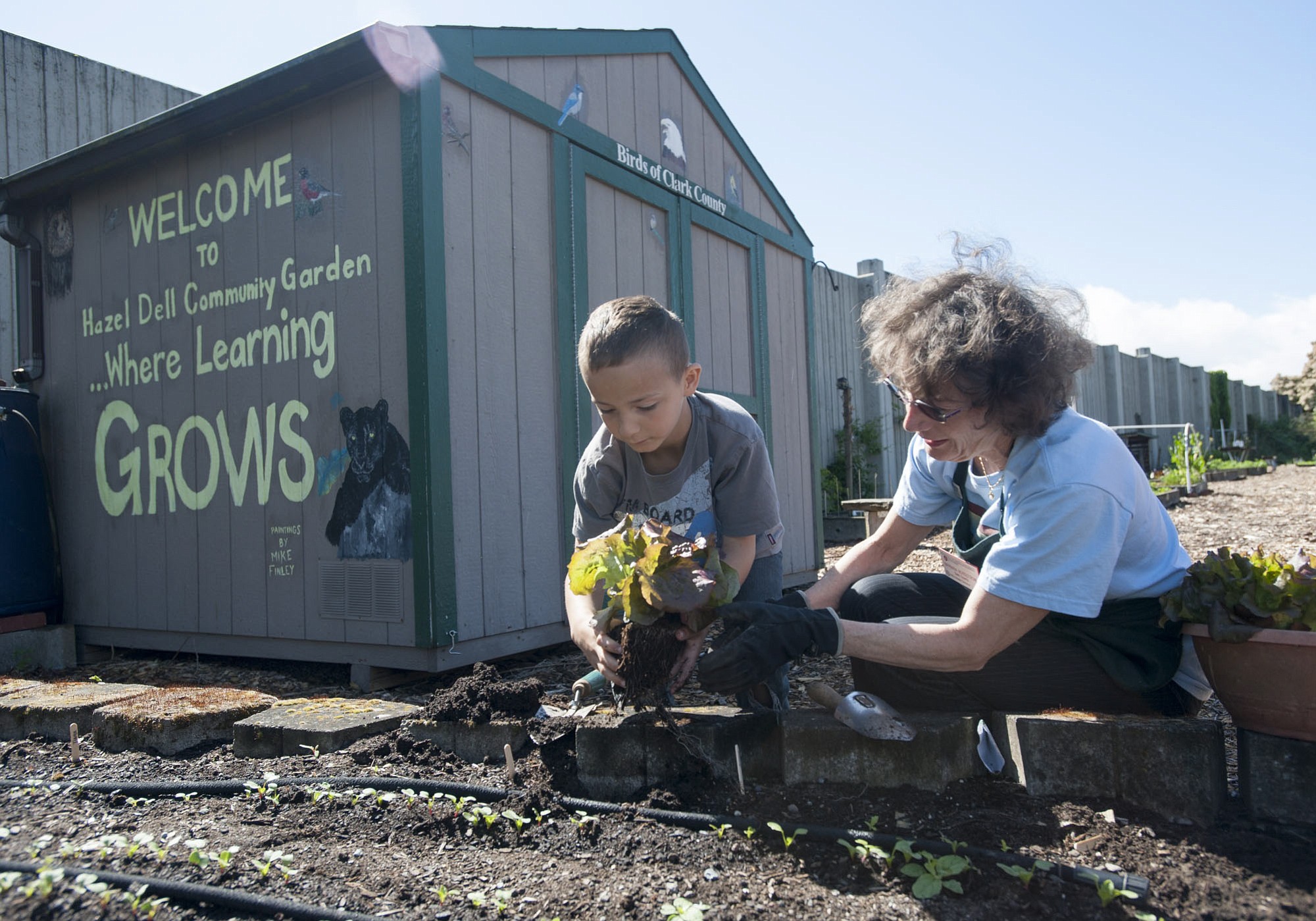 Master gardener Barbara Nordstrom teaches Skyler McCalmant, 7, about planting lettuce at the Hazel Dell School and Community Garden.