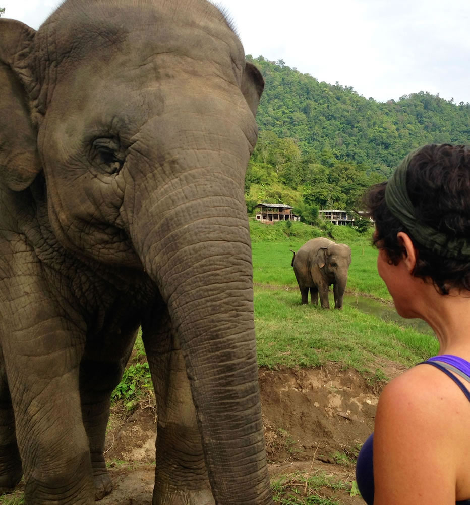 Hearing the term &quot;temple elephants&quot; on a podcast sparked Sundari SitaRam to travel to Southeast Asia to find out what she could do to help wild, endangered and captive elephants.