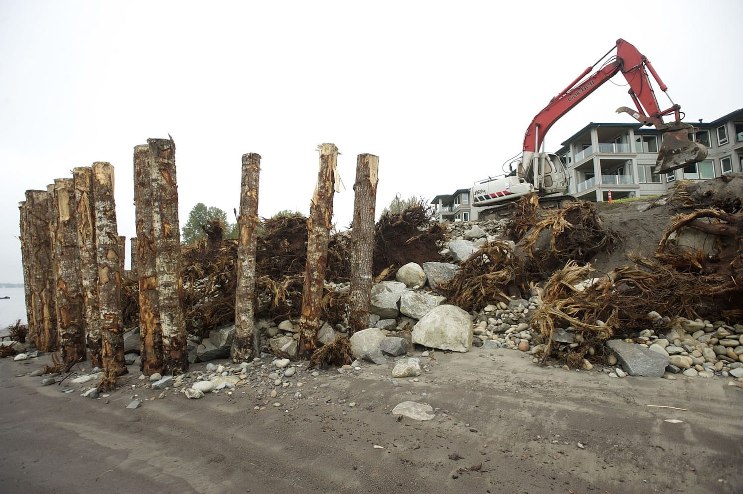 Photos by STEVEN LANE/The Columbian
Piles made from Douglas firs stand sentry on the shore of the Columbia River near Tidewater Cove condominiums, where crews are rebuilding the slope and a portion of the Waterfront Renaissance Trail damaged by high waters in 2011. Top: Keystone Contracting of Ridgefield, which repaired the first damaged section of the trail, successfully submitted the lowest bid for the second damaged section.