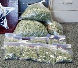 Oregon troopers said they seized about 10 pounds of marijuana worth $25,000 in a traffic stop Wednesday morning.