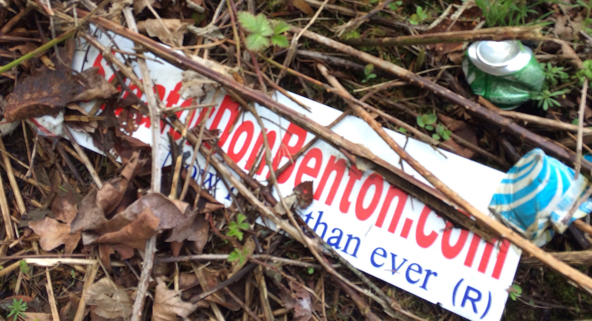 A political sign for Don Benton rests in a ditch next to Highway 99 in Hazel Dell on Thursday, March 27, 2014.