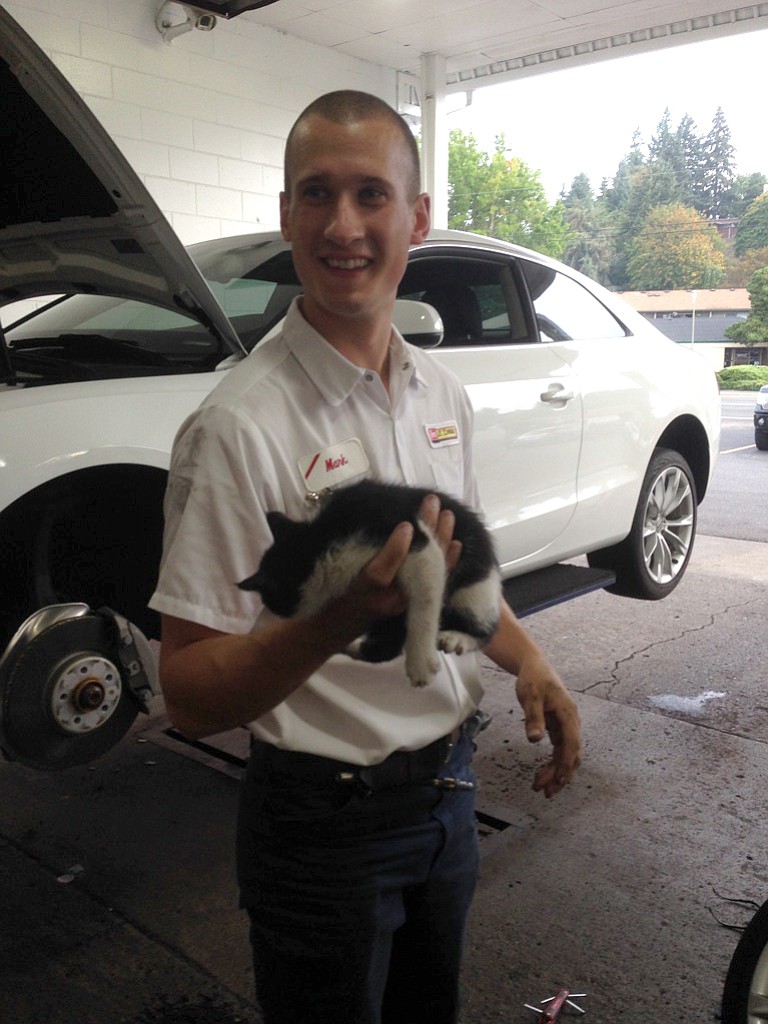 Les Schwab employee Mark Hughes freed a kitten stuck underneath the engine of Andrea Duvall's car.