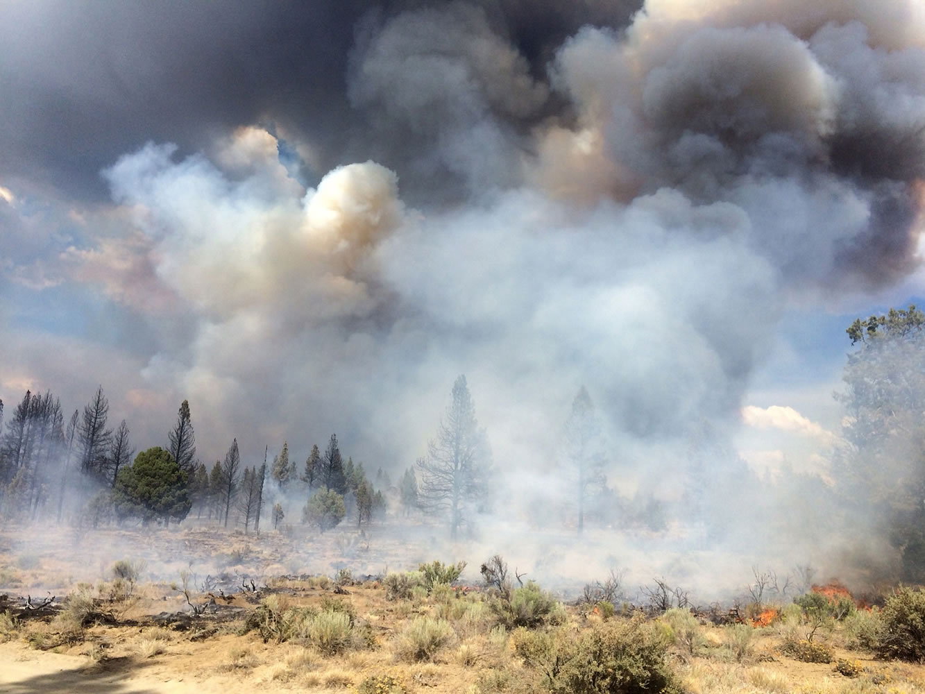 The Moccasin Hill fire burns Sunday north of Sprague River and northeast of Klamath Falls, Ore.  Lightning struck Oregon more than 6,000 times Sunday and Monday, touching off small fires by the dozens.