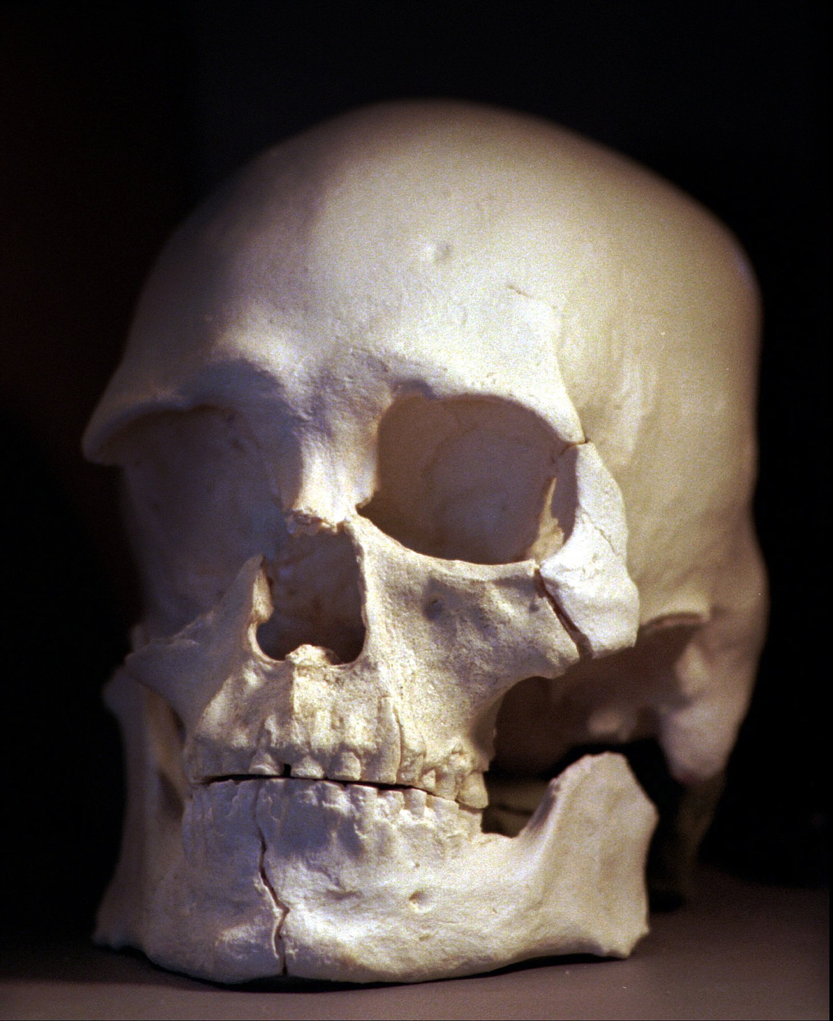 Associated Press files
The ancient skeleton known as Kennewick Man, found nearly 20 years ago in a river in Washington, is related to Native Americans, says a DNA study published Thursday.