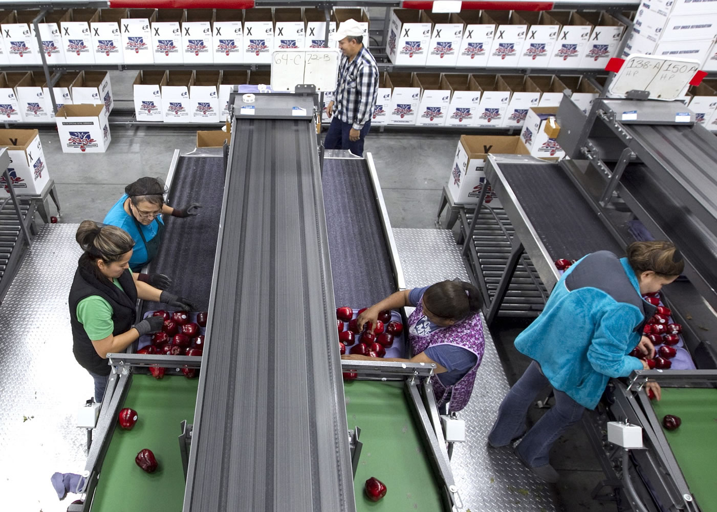 Workers pack apples at Valicoff Fruit in Wapato.