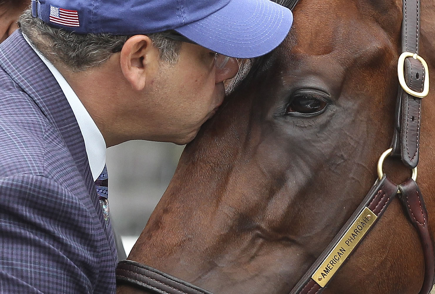 Kentucky Derby and Preakness Stakes winner American Pharoah, gets a kiss from his owner, Ahmed Zayat after a workout at Belmont Park, Friday, June 5, 2015, in Elmont, N.Y. American Pharoah will try for a Triple Crown when he runs in Saturday's 147th running of the Belmont Stakes horse race.
