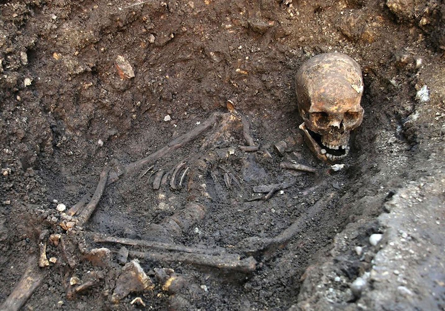 FILE- This is an undated file photo released by the University of Leicester, England, showing the remains human skeleton found underneath a car park in Leicester, England, September 2012, which has been declared &quot;beyond reasonable doubt&quot; to be the long lost remains of England's King Richard III, missing for 500 years.
