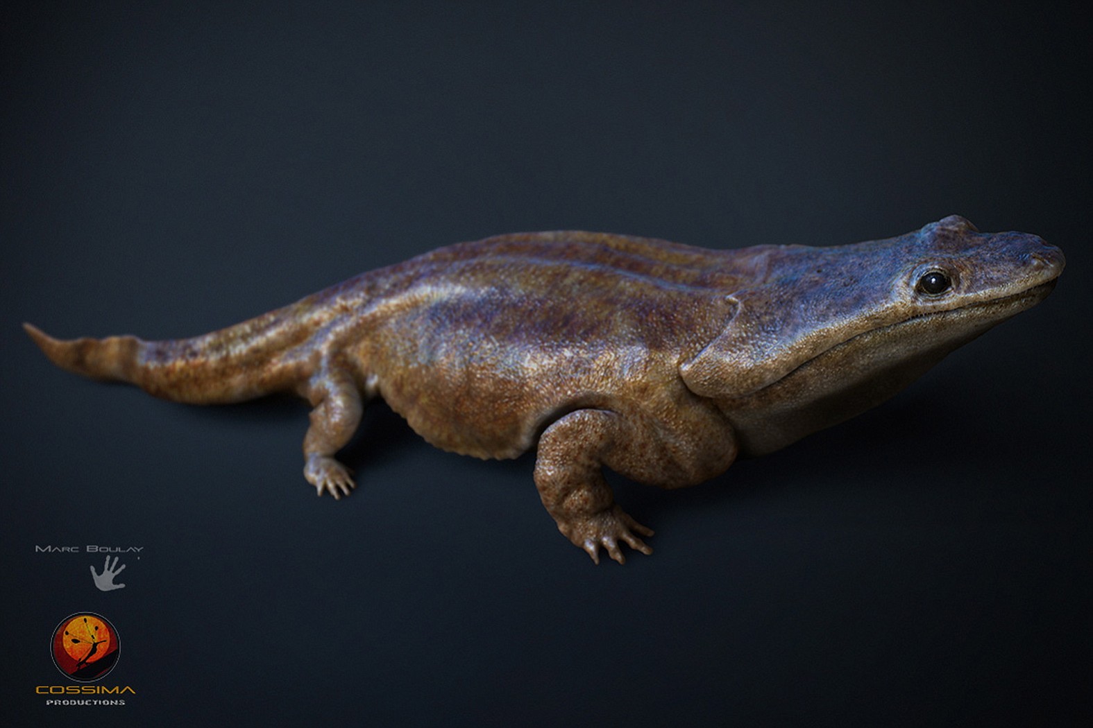 marc boulay/University of Edinburgh/Cossima Productions
This artist's rendition shows a Metoposaurus algarvensis, a previously unknown species of crocodile-like &quot;super salamander&quot; that roamed the Earth -- specifically, Portugal -- more than 200 million years ago. It grew up to 6 feet long.