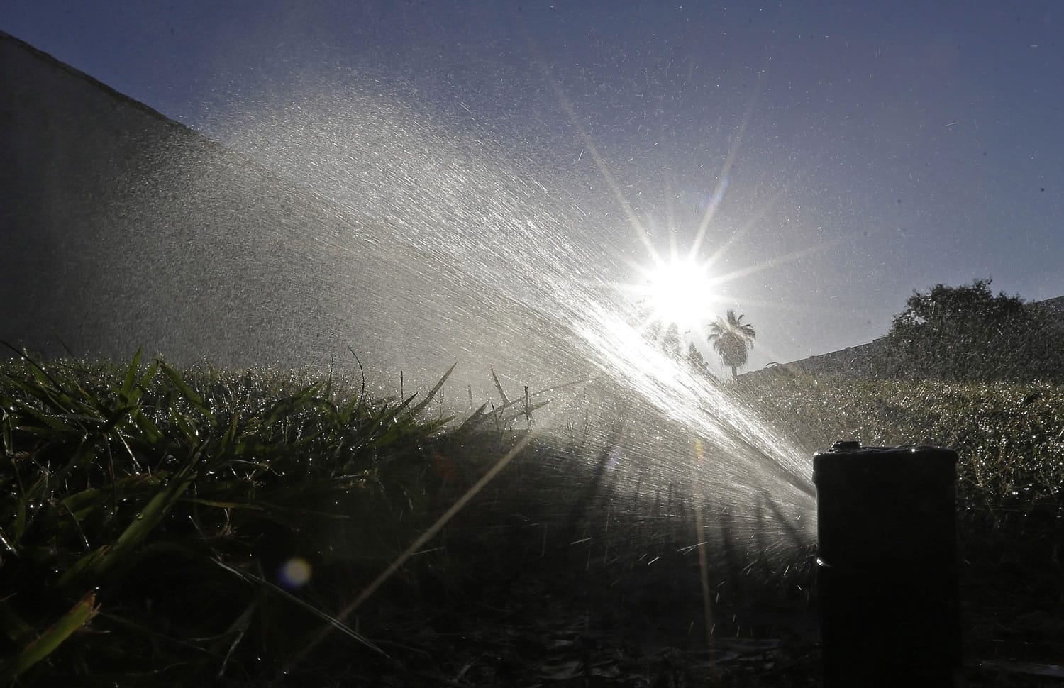 A lawn is irrigated in Sacramento, Calif.