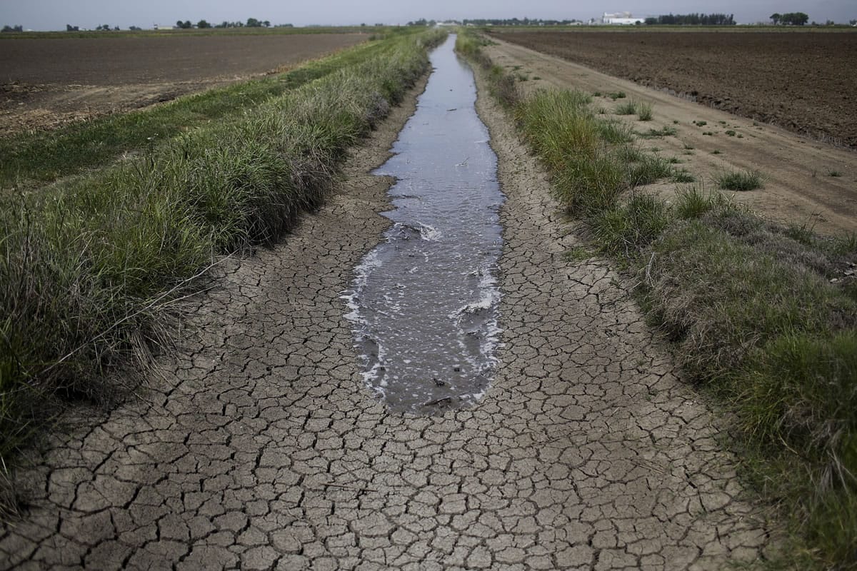 Irrigation water is released into a ditch between rice farms May 1 to provide water for the rice fields in Richvale, Calif. A federal agency said Friday it will not release water for most Central Valley farms this year, forcing farmers to continue to scramble for other sources or leave fields unplanted.  (AP Photo/Jae C.