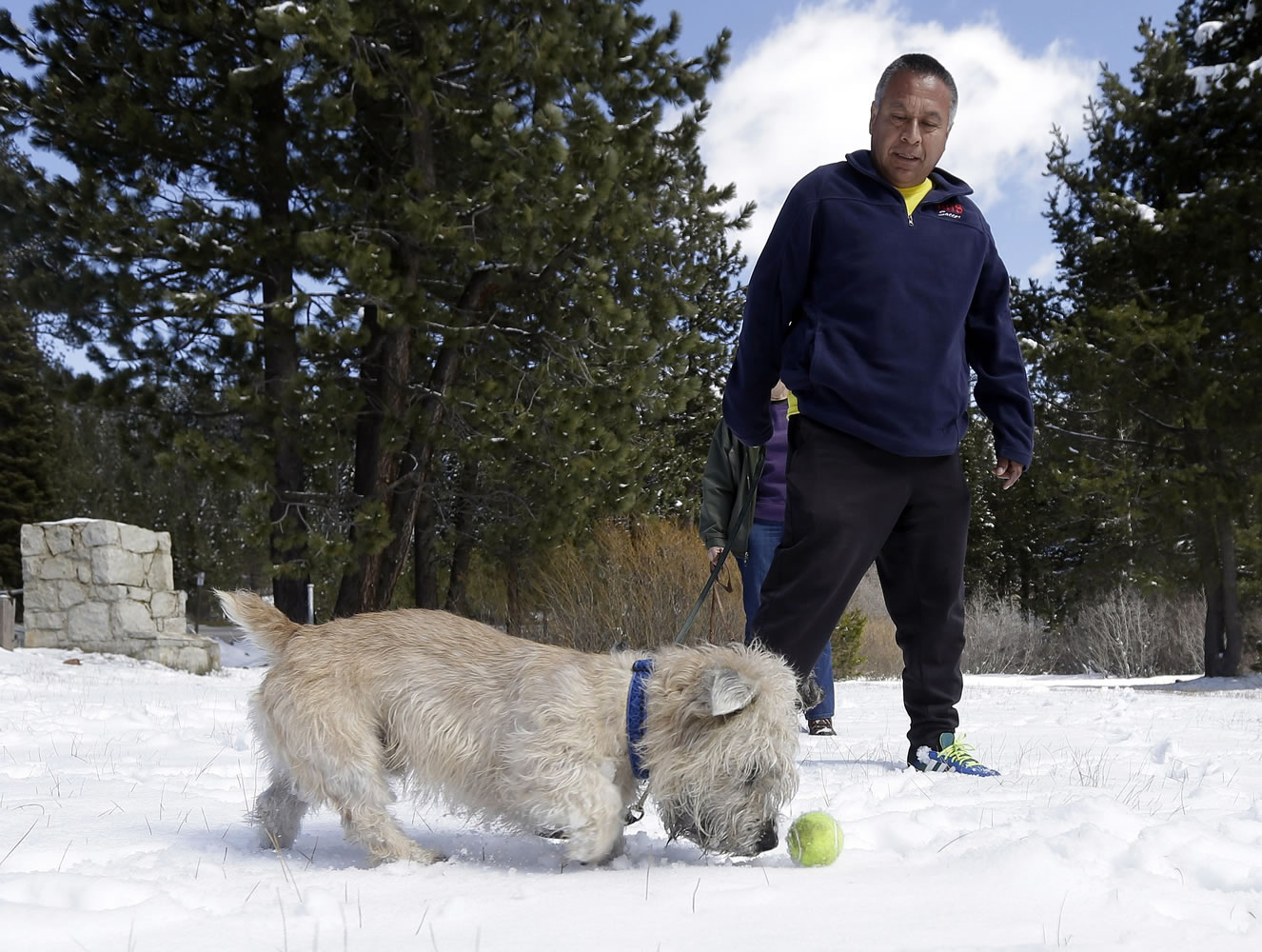 Sullivan, a Glen of Imaal Terrier, pushes a tennis ball next to his owner, Armando Lopez, near Echo Summit, Calif., on Tuesday.