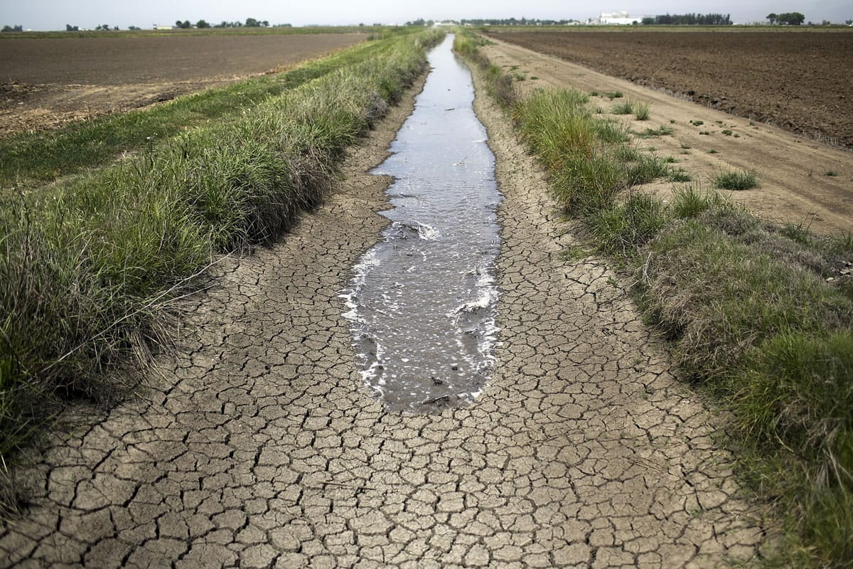 Associated Press files
Irrigation water runs along a dried-up ditch between rice farms in Richvale, Calif., in May.California is in the third year of the state's worst drought in recent history, and officials are taking steps to educate and punish residents who exceed strict ration limits.