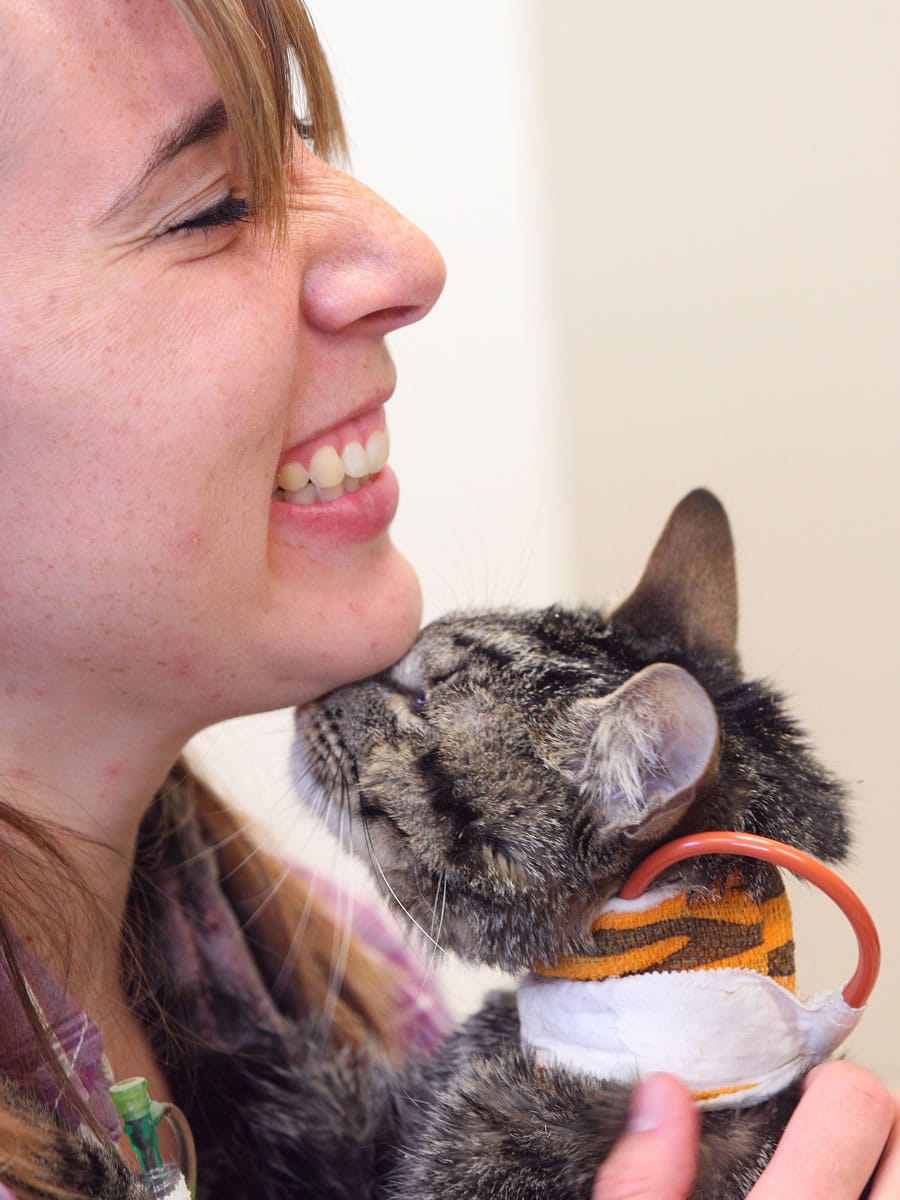 Kymberly Chelf gets a chin nuzzle from Moosie while visiting her two-year-old cat Tuesday at Mt.