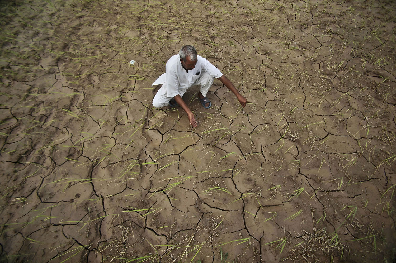 Associated Press files
An Indian farmer sits in a dry, cracked paddy field in Ranbir Singh Pura, India, in 2012.