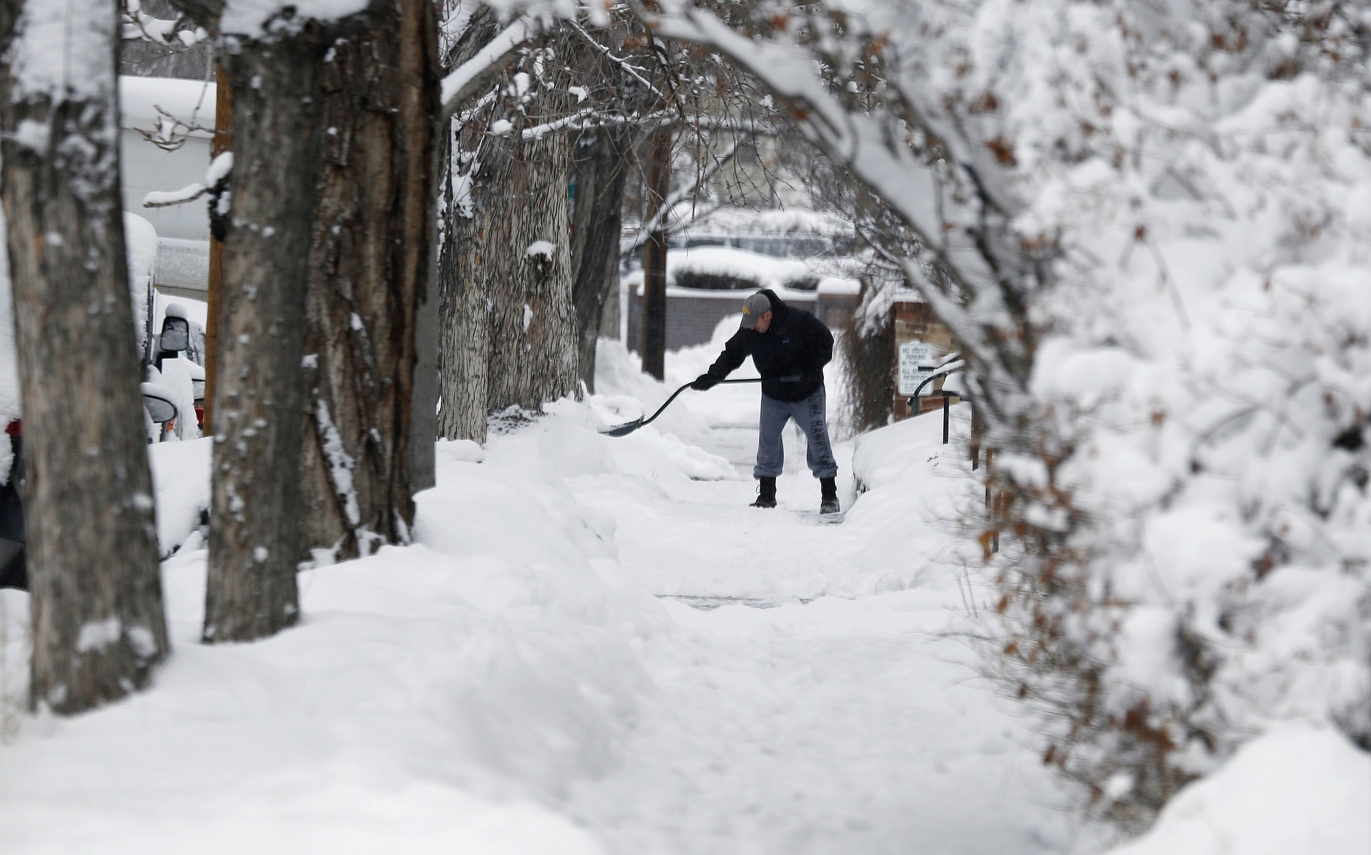 Framed by trees, a shoveler toils on a sidewalk after a winter storm sent temperatures plunging to single-digit levels and dumped up to a foot of snow Sunday in Denver.