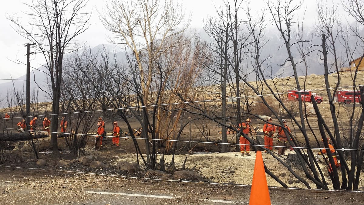Crews of inmate workers clear charred trees along the road near Swall Meadows, Calif., in February after a wildfire destroyed 40 homes and buildings. Drought has killed about 12 million trees in California's national forests. And in the Rocky Mountain region, an epidemic of pine beetles has damaged trees over a stretch of 32 million acres.