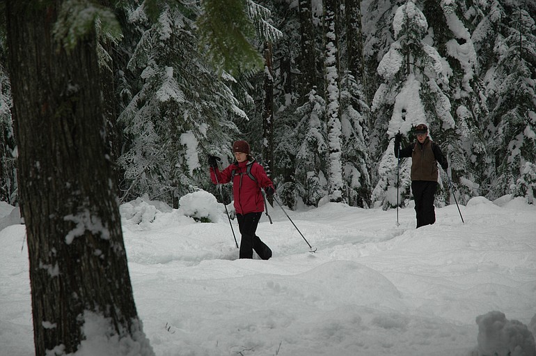 A pair of cross-country skiers head back toward the Oldman Pass Sno-Park at the Upper Wind River Winter Sports Areas in the Gifford Pinchot National Forest.
