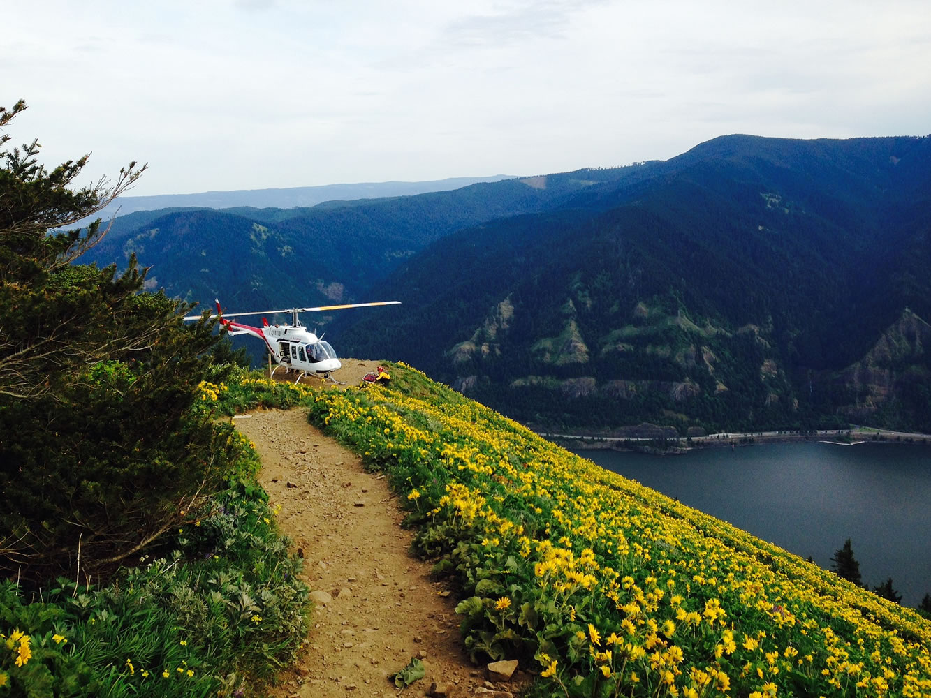 Emergency crews have been called to four emergencies in the past two weekends near Dog Mountain Trail.