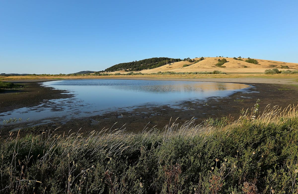 A view of Taverner's Marsh at Baskett Slough National Wildlife Refuge on Friday near Dallas, Ore.