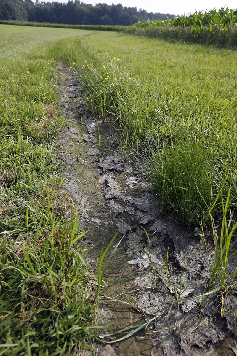 A dry irrigation ditch runs near a cornfield June 11 in Cordova, Md.