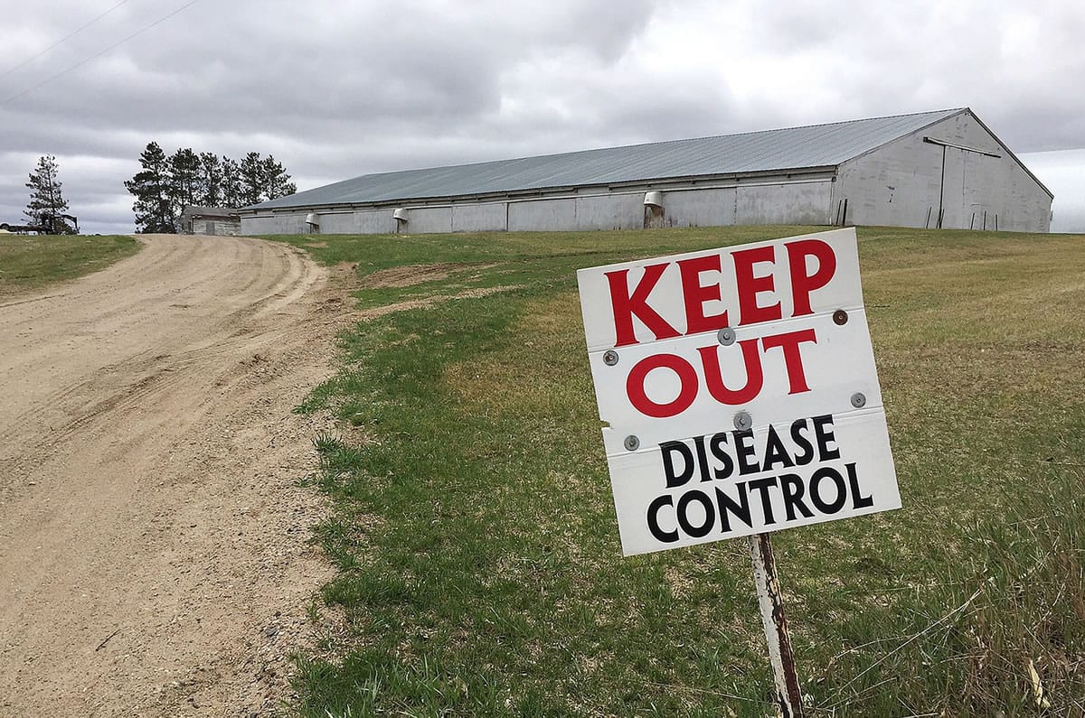 A sign warning visitors to stay away outside a turkey farm near a Jennie-O Foods turkey processing plant April 20 in Melrose, Minn.
