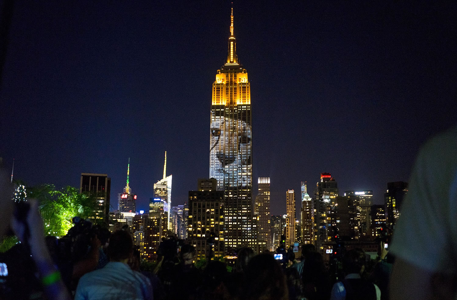Large images of endangered species are projected on the south facade of The Empire State Building, Saturday, Aug. 1, 2015, in New York.