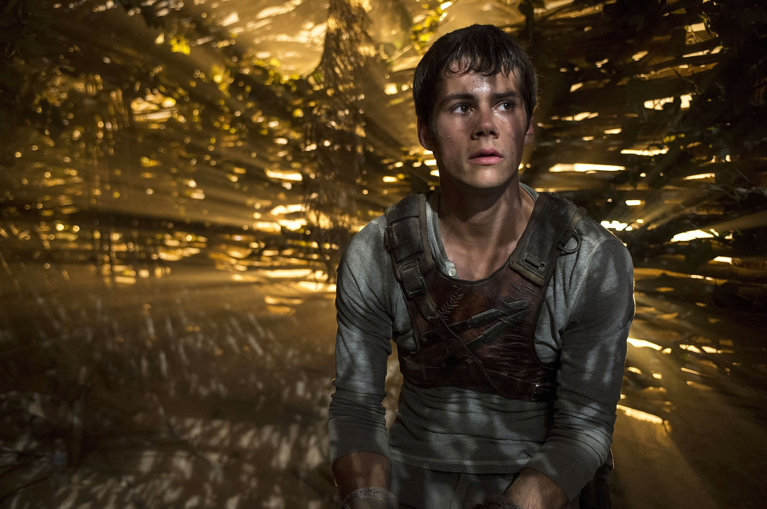 Dylan O'Brien tries to solve the secrets of a maze in  &quot;The Maze Runner.&quot;