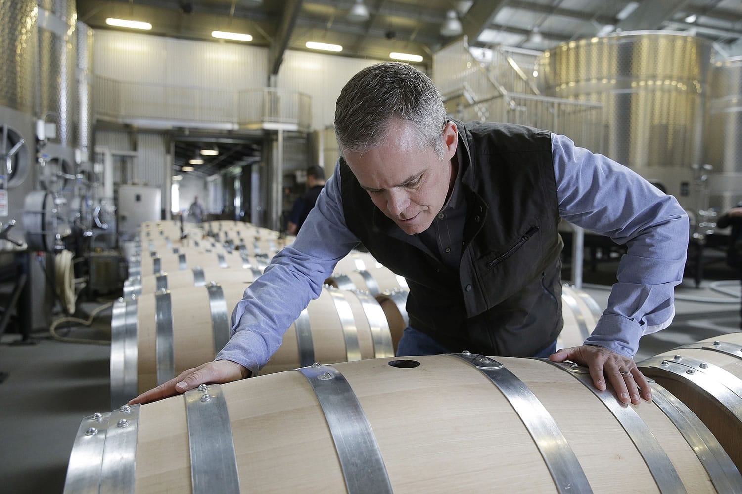 In this Tuesday, March 3, 2015 photo, CEO and President David Duncan looks over an American oak wine barrel before its use at Silver Oak Cellars in Oakville, Calif.