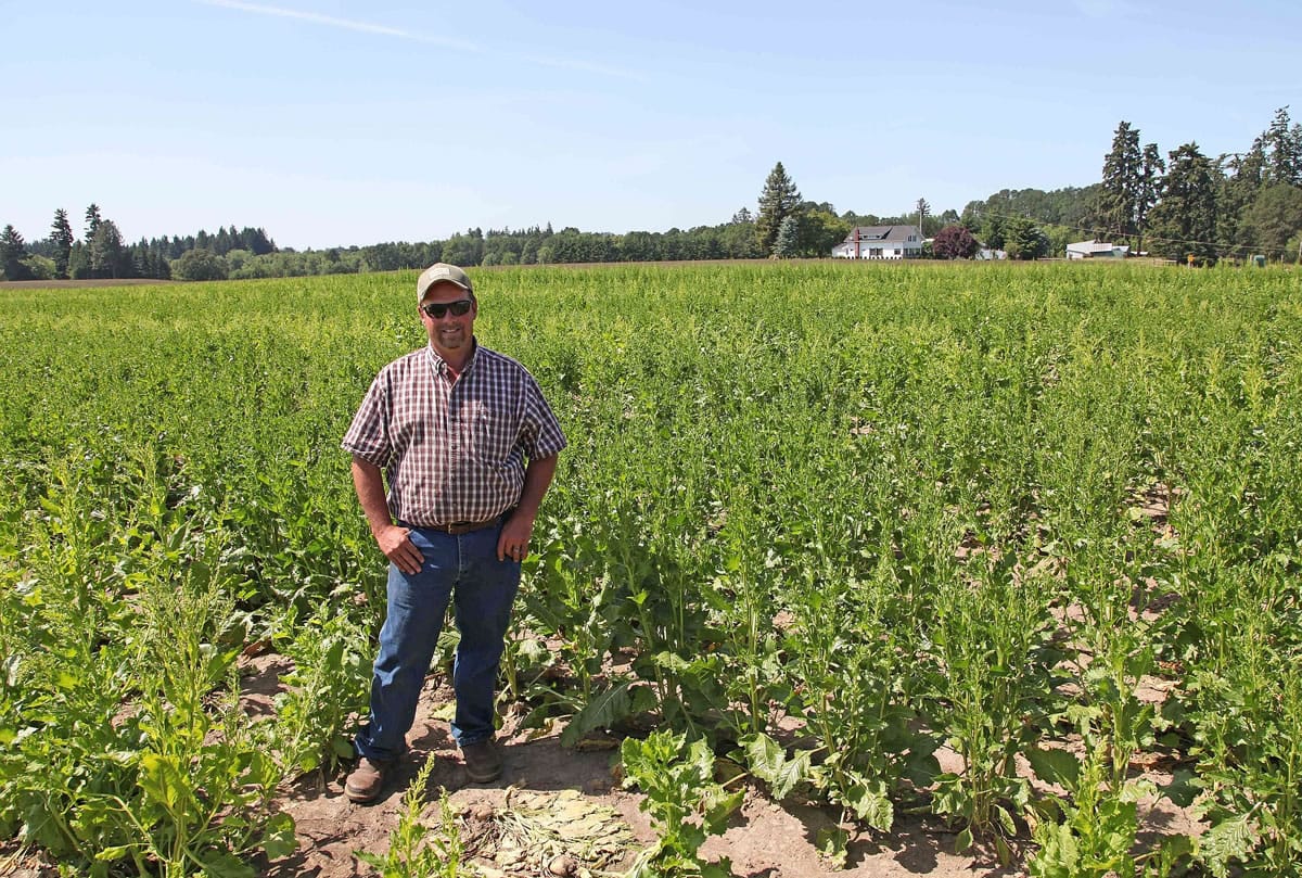 Grower Robert Purdy stands in his field of genetically engineered sugar beets June 6 near Salem, Ore.
