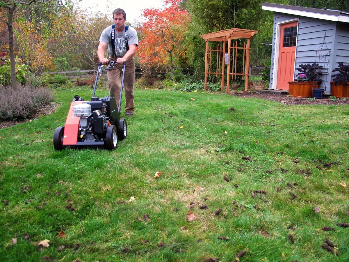A man aerates a lawn, removing plugs of soil and thatch, on Whidbey Island.