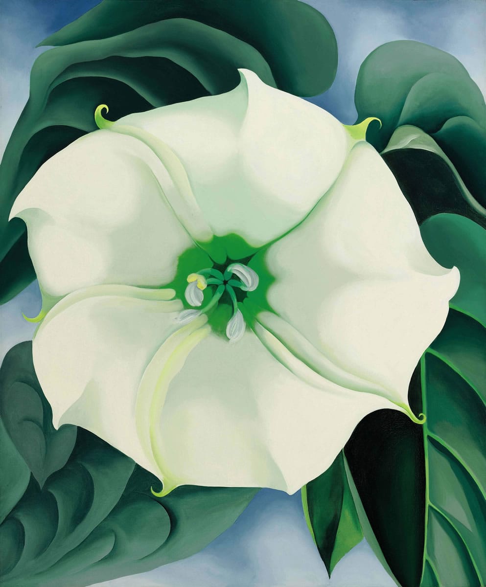 Southeby's
Georgia O'Keeffe's 1932 painting &quot;Jimson Weed/White Flower No. 1&quot; has sold for $44.4 million, more than triple the previous auction record for a work by a female artist.