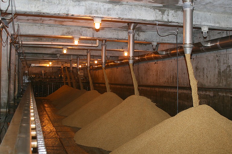 Great Western Malting of Vancouver produces malt for the brewing industry.