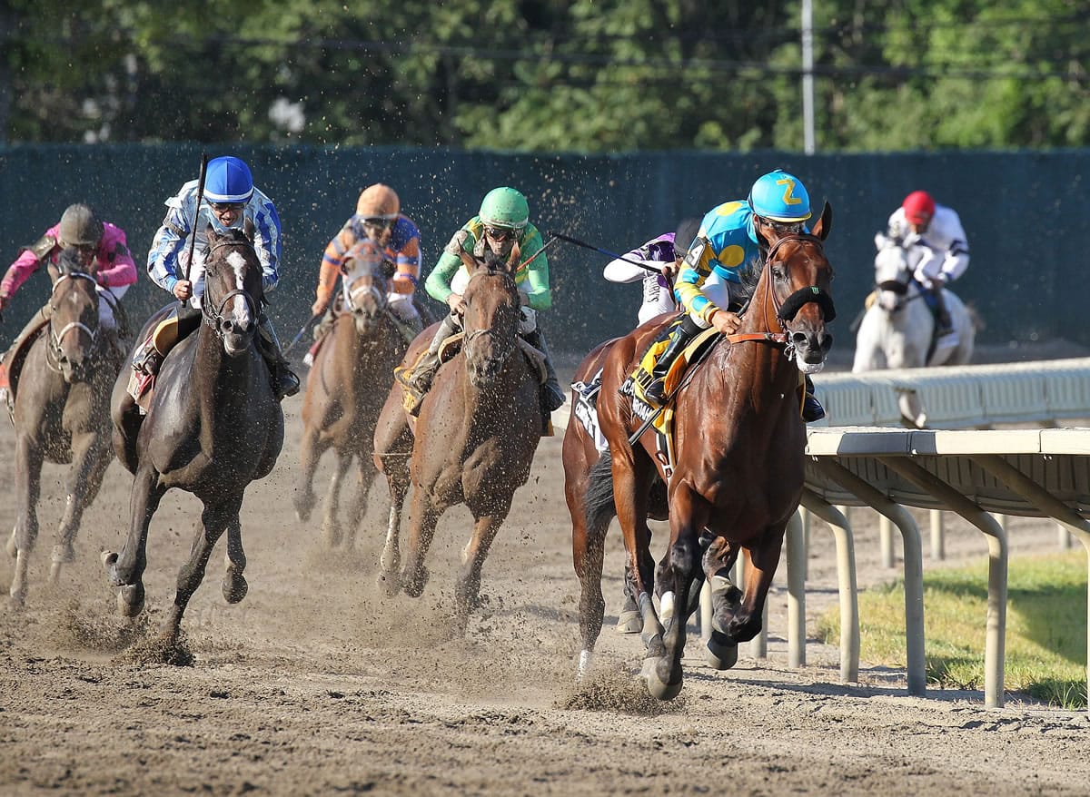 American Pharoah, with Victor Espinoza riding, leads the field around the final turn en route to victory in the Haskell Invitational at Monmouth Park in Oceanport, N.J., on Sunday, Aug. 2, 2015.