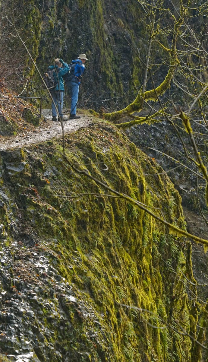 Oregonian files
Hikers walk on the Eagle Creek Trail in the Columbia River Gorge near Portland in 2009. A hikier has been charged with murder in the death of a woman who fell from a trail six years ago in the Columbia River Gorge.