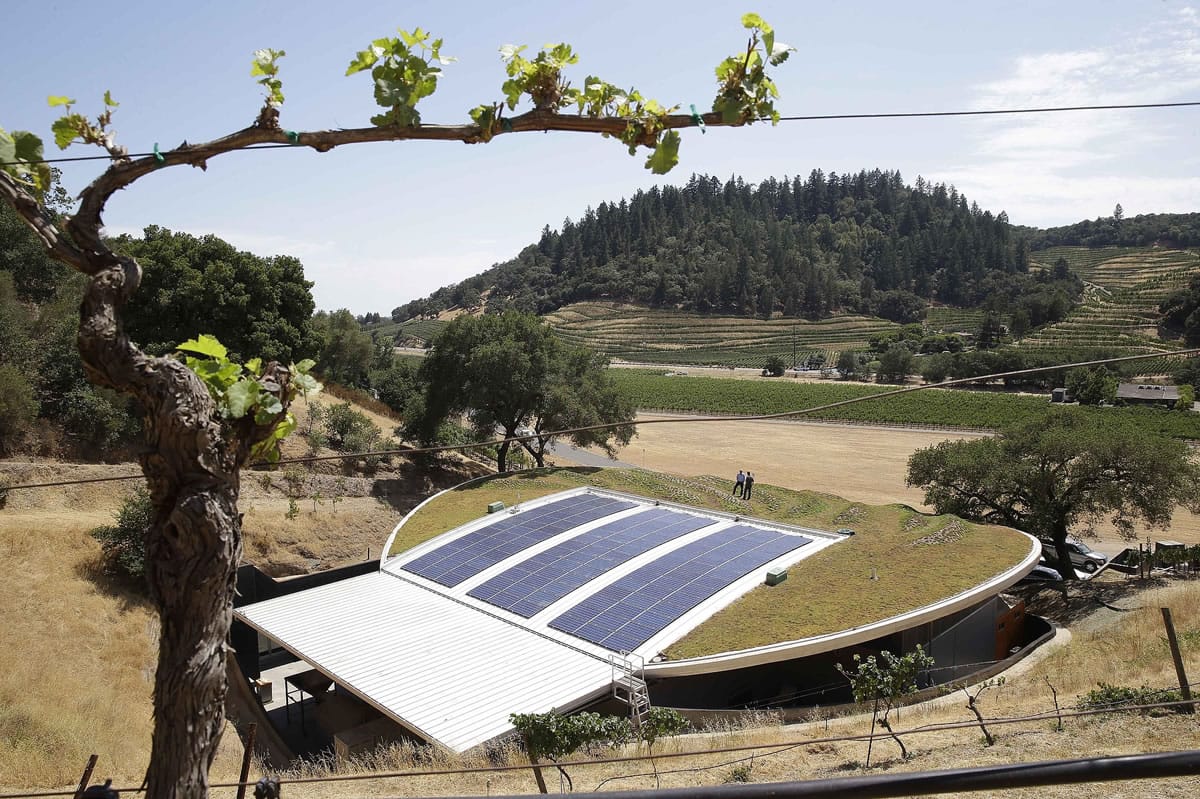 A grapevine frames the living roof atop the Odette Estate winery with the Silverado Trail in the background in Napa, Calif. Odette Estate, which opened recently, is part of a small but blossoming trend of green-roofed wineries.