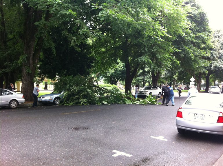 A tree branch dangled briefly, then fell from a tree in Esther Short Park onto a car parked on 8th Street downtown.